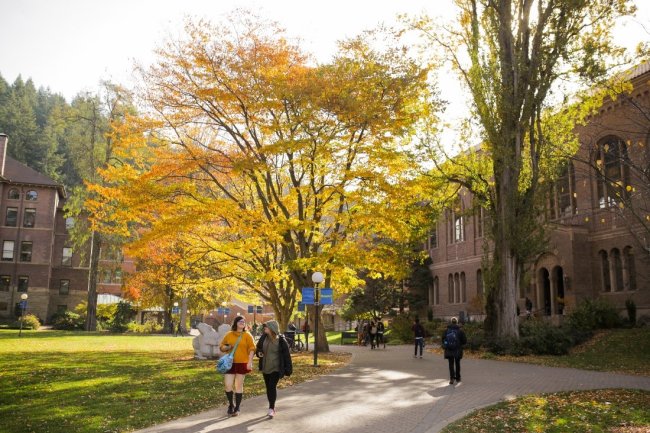 Students walk in front of Wilson Library on a clear Fall day; the leaves on the trees are bright yellow