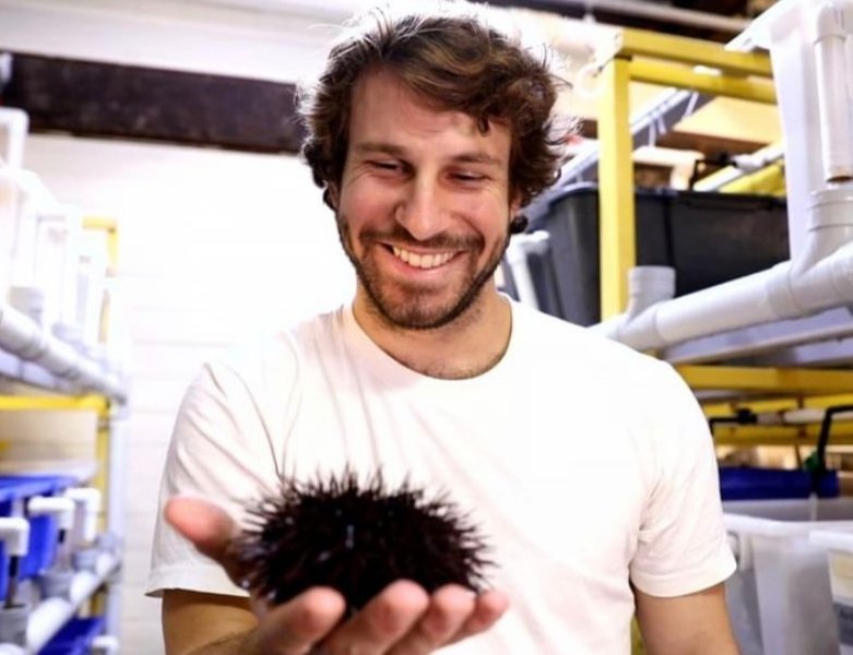 Mitch Gibbs smiles while holding a live sea urchin 