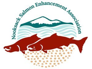 NSEA logo shows a pair of migrating salmon below a stylized image of Mount Baker