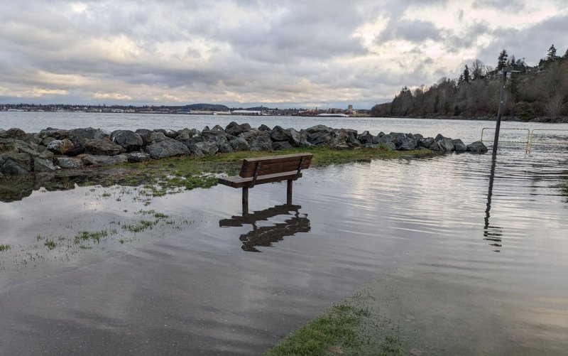 A flooded bench in Boulevard park