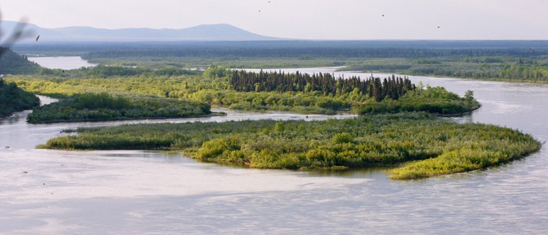 Aerial of the Nushagak River where it empties into Bristol Bay