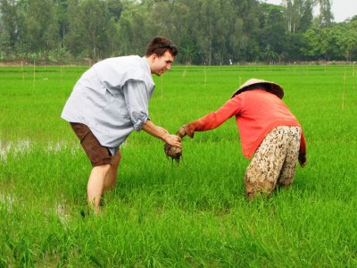 WWU student Michael Dunning learns how to transplant and fill in the gaps of a rice field, An Giang Province, Vietnam, 2014
