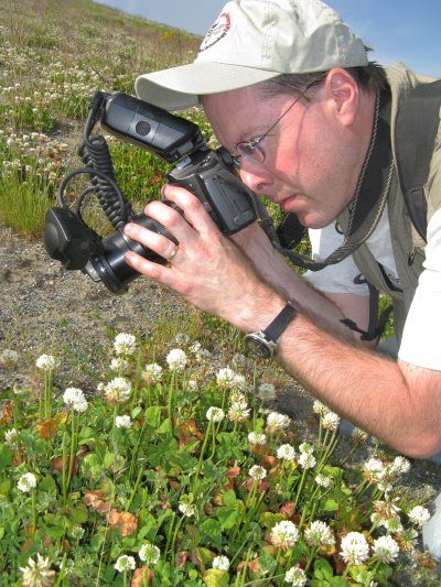 Merrill Peterson gets up close and personal with a bumble bee in the field