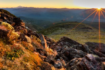 Sunset and saxifrages - The sun is setting behind the mountains surrounding the town of Esso (central Kamchatk) with Ichinsky Volcano in the distance (upper left); photos © Eric DeChaine.