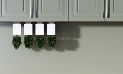 four plant grow upside down from small cubes attached to the underside of a kitchen cabinet