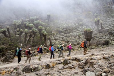 Kilimanjaro’s mystique beckons adventure seekers from around the world. The 19,341-foot high summit is a serious altitude challenge, yet a non-technical trail to the top presents one of the most attainable of the “seven summits” — the highest points on ea