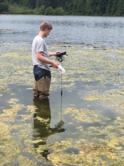 Max Miner collects algae and water samples at Heart Lake in Anacortes on Monday, July 13, 2015. Photo by Tayler Blumenfeld / WWU Communications and Marketing intern