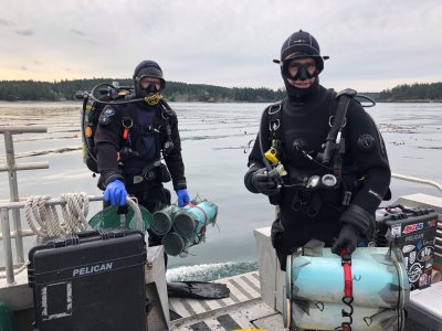PSRF divers prepare to release juvenile abalone on the rocky reef systems of the San Juan islands