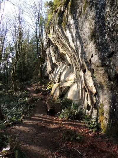 A hiking trail winds between trees and a sandstone cliff