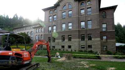 One of the trees lining the memory walk near Old Main on the Western Washington University campus was cut down Wednesday, June 27. An elm tree will be planted in its place in the next couple of weeks. Photo by Maddy Mixter | University Communications inte