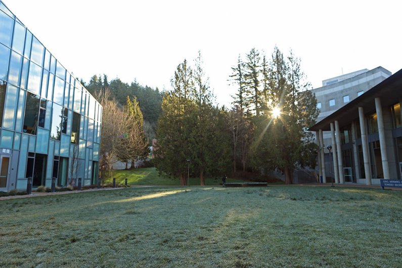 sunlight shines through tree branches onto the frost-covered lawn next to the glass windows of the Carver building 