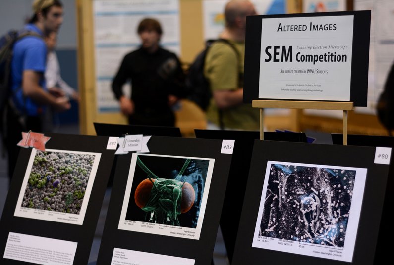 Images from the 8th Annual Student Scanning Electron Microscope Digital Image Competition are displayed in Sam Carver Gymnasium during Scholars Week. The competition was open to all students and included a training session prior for students unfamiliar wi