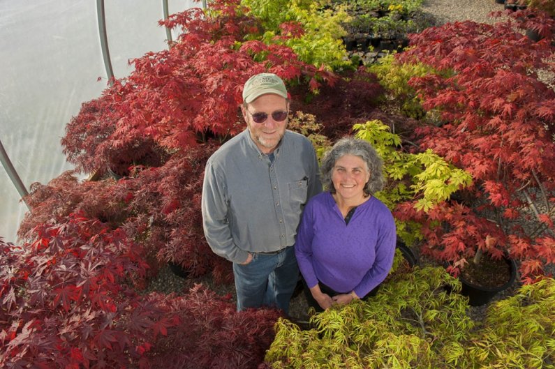 First Couple of Organic Farming 

Tom Thornton (’78, Fairhaven Interdisciplinary Concentration) and Cheryl Thornton (’78, Marine Resources) 

The Thorntons got their start growing organic vegetables at The Outback Farm behind Fairhaven College of Inte