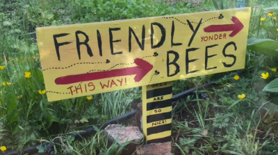 Sign saying "Friendly Bees", pointing to right of the sign
